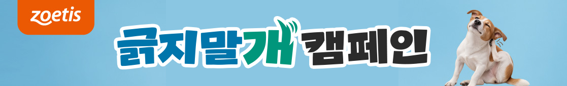 긁지말개 캠페인