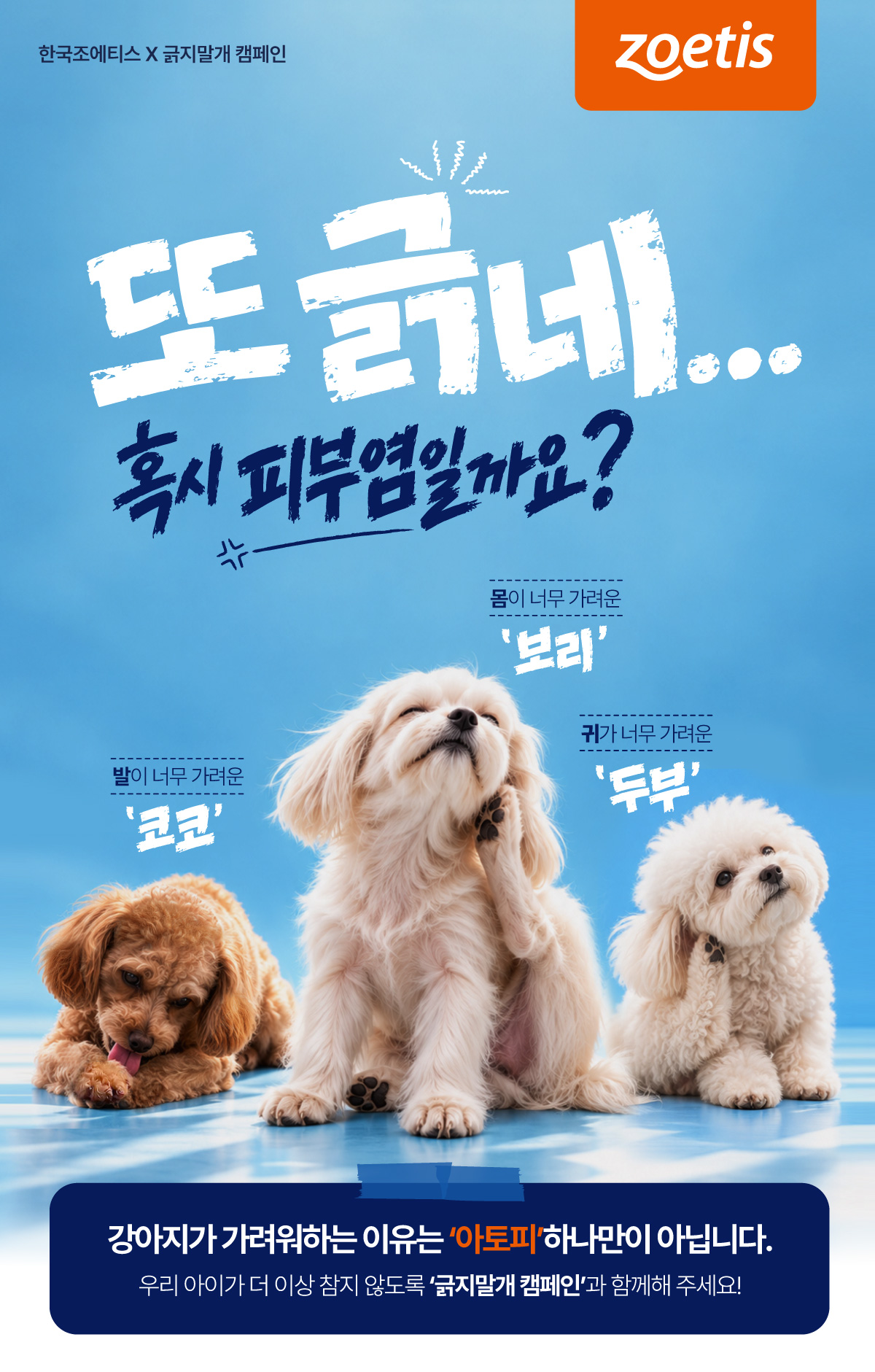 긁지말개캠페인01