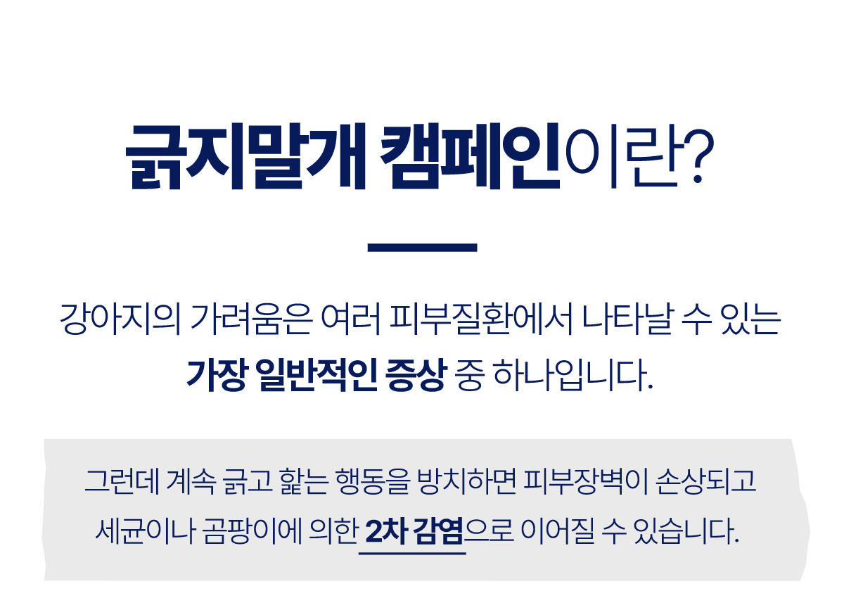 긁지말개캠페인02