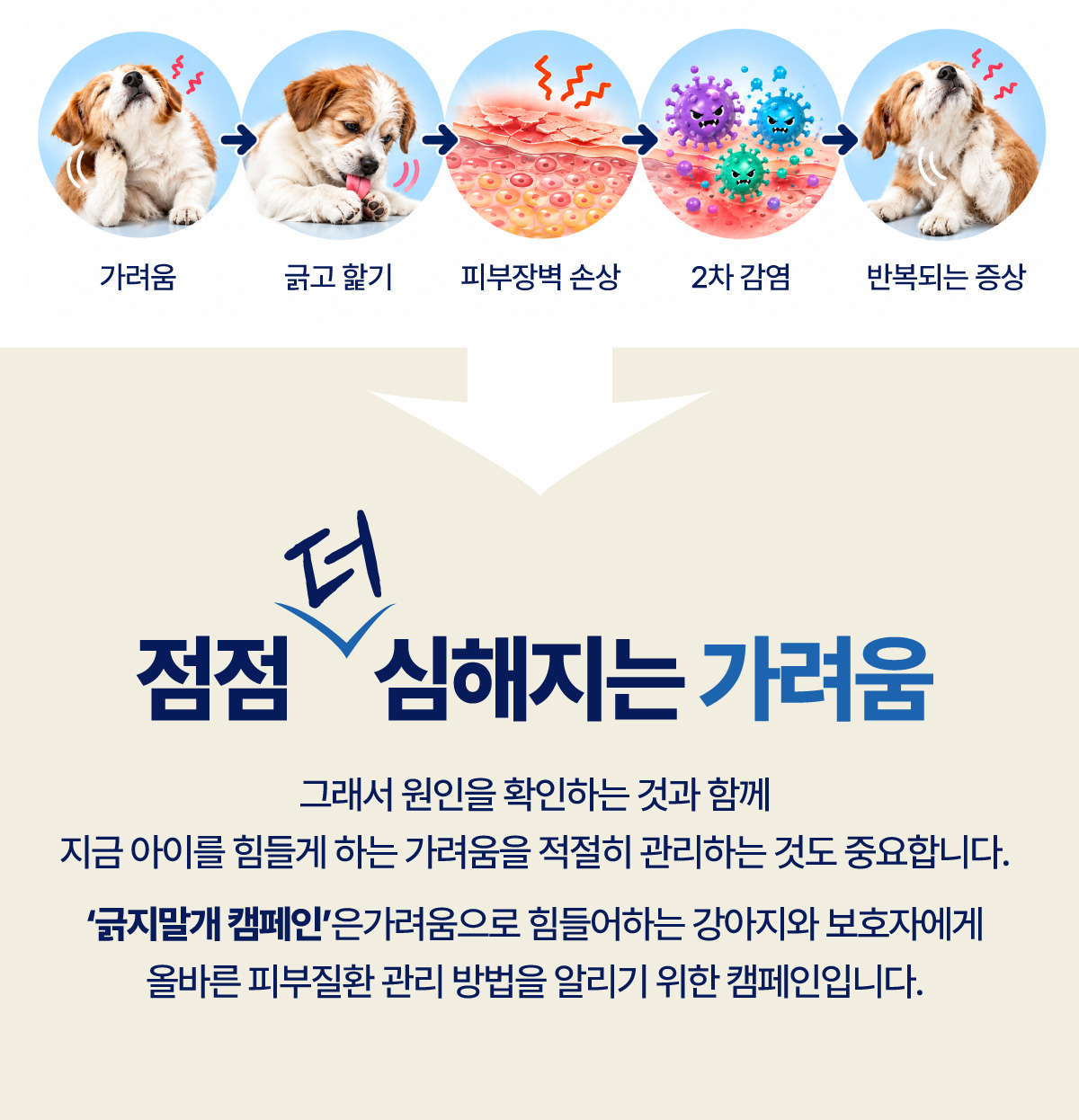 긁지말개캠페인02