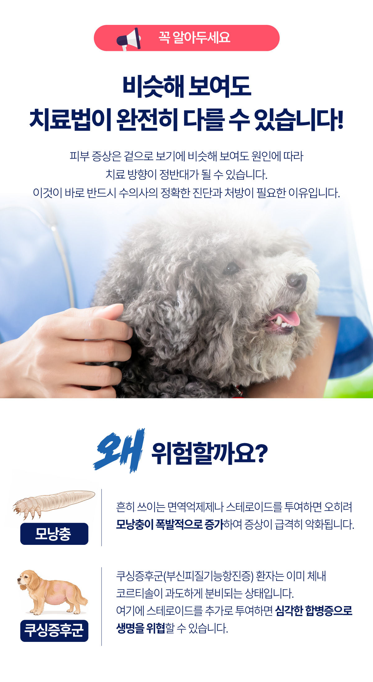 긁지말개캠페인04