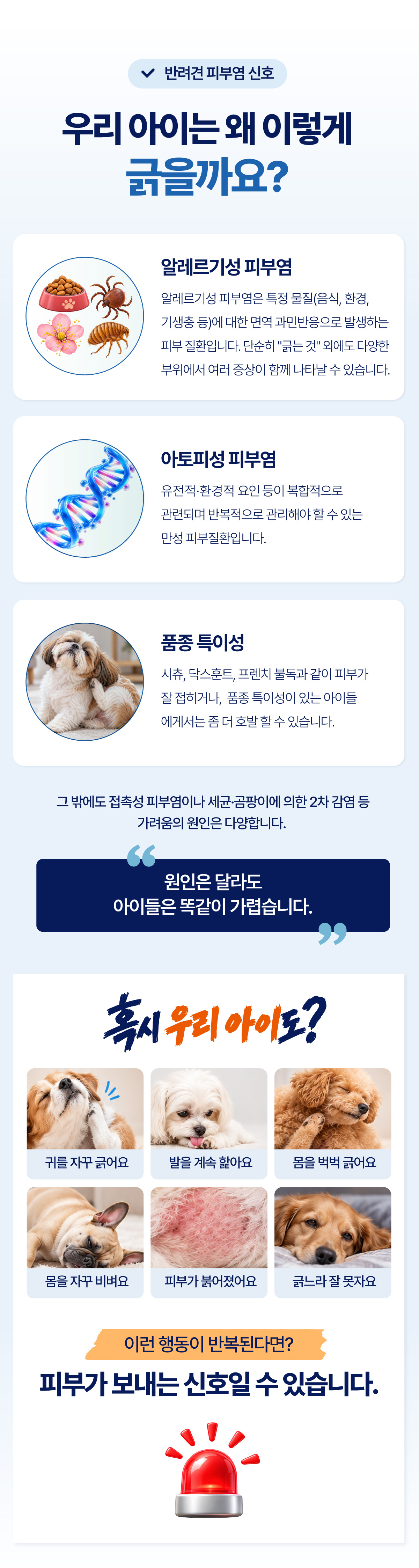 긁지말개캠페인04